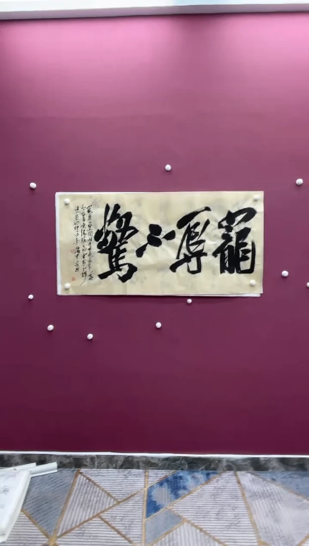 【闪购商品】书法宠辱不惊书法作品