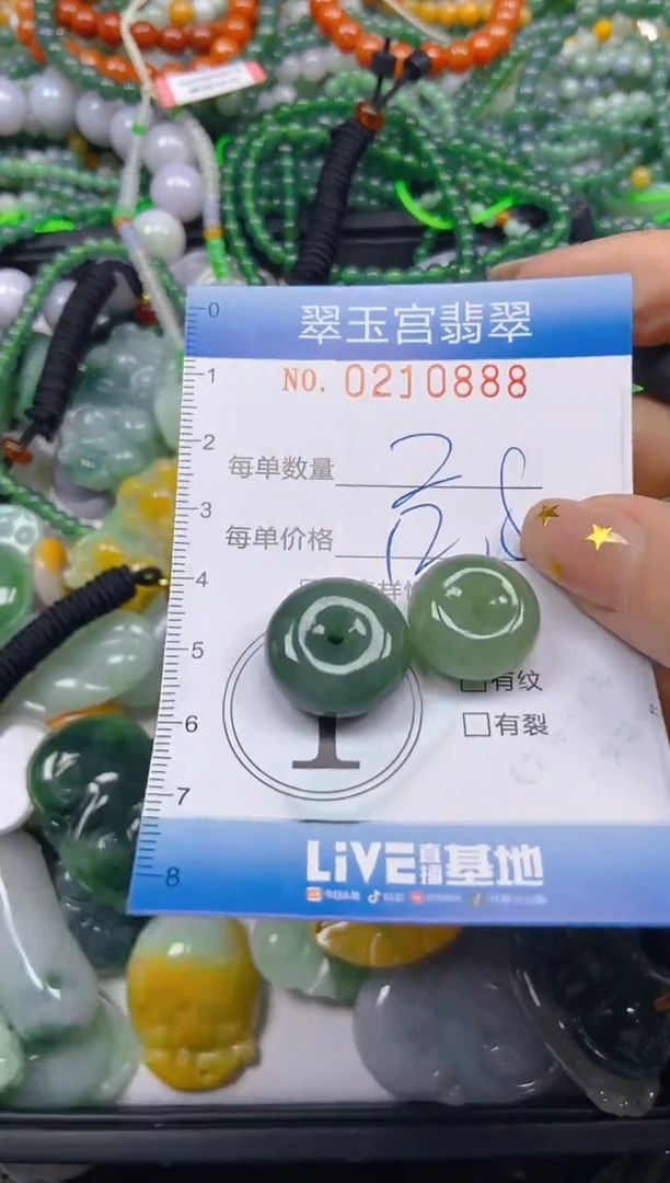 颈饰未镶嵌翡翠闪购C0210888