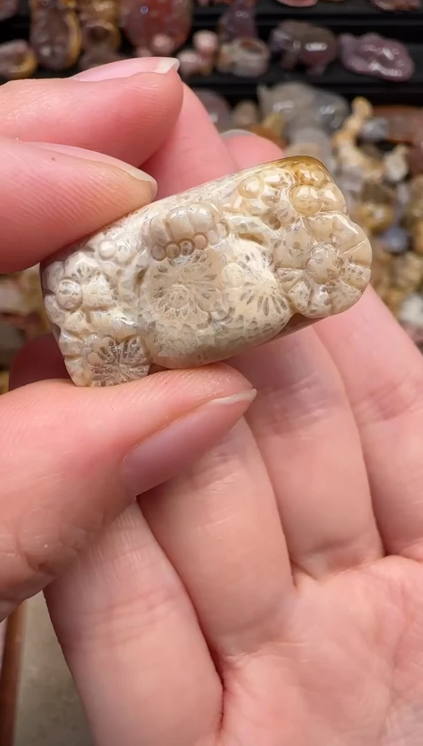 颈饰未镶嵌硅化珊瑚（珊瑚玉）739