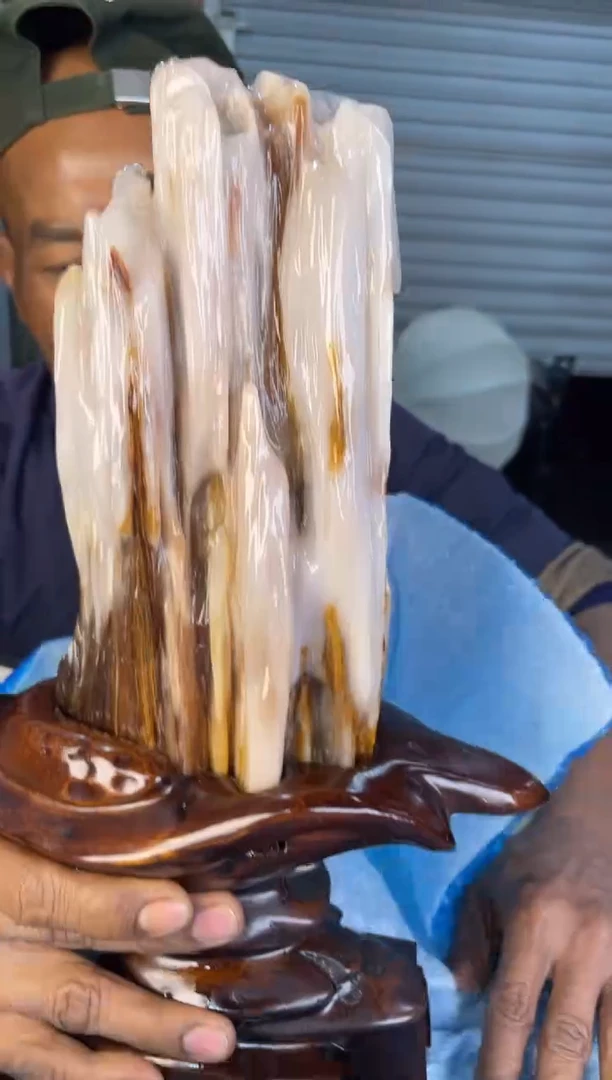 未镶嵌摆件硅化玉21