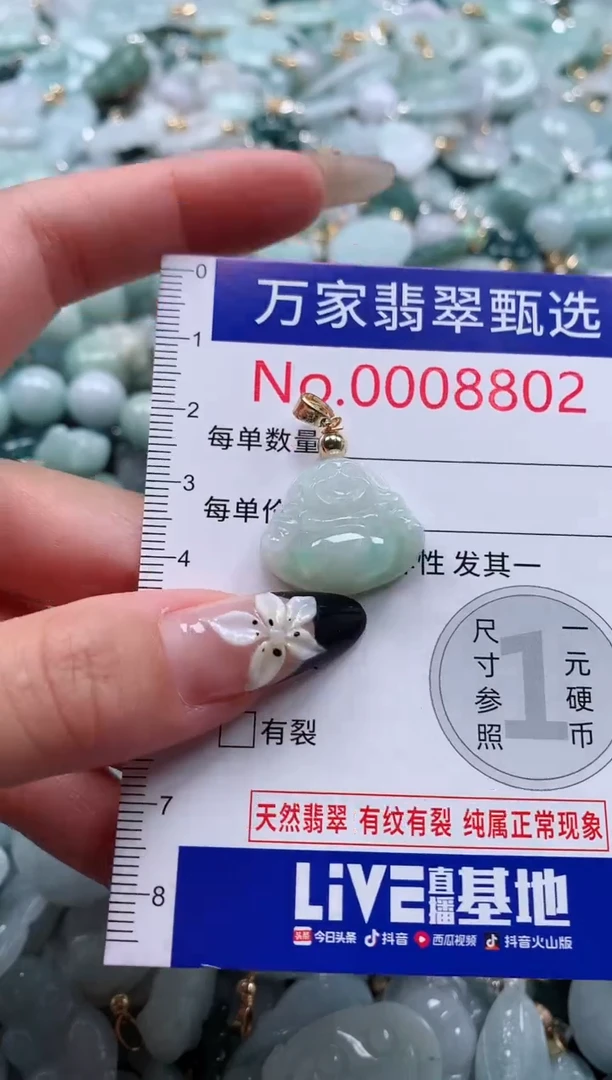 翡翠未镶嵌颈饰8802