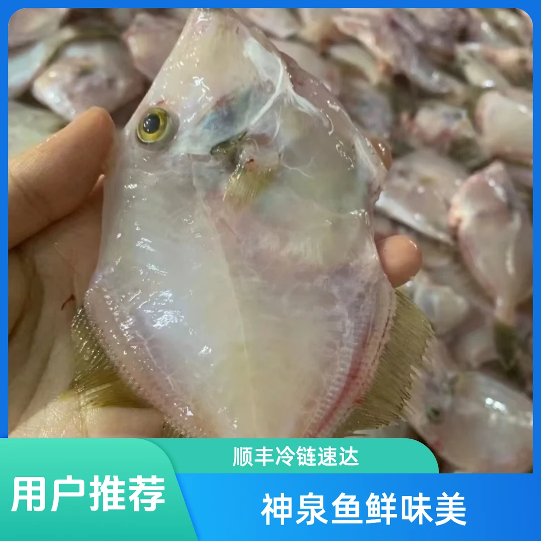 广东惠来神泉本港海鲜迪仔鱼圆迪扒皮鱼顺丰冷链配送