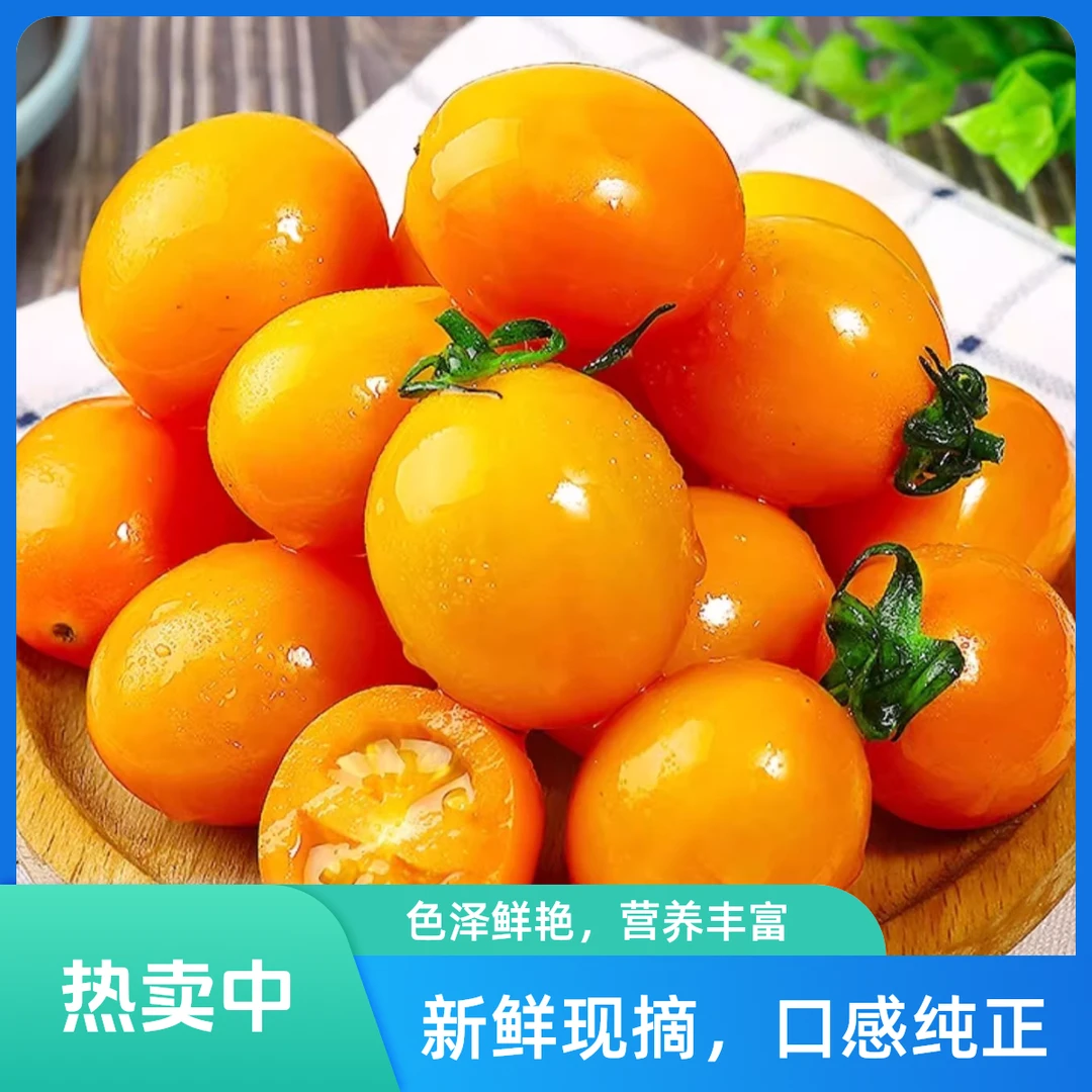 攀枝花黄金千禧/圣女果黄色小番茄西红柿新鲜酸甜多汁3斤/5斤【川渝贵阳次日达 京东包邮】四川省