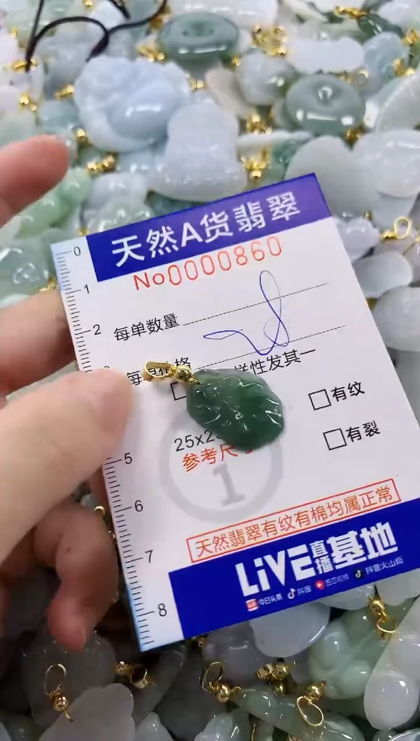 颈饰未镶嵌翡翠天然A货翡翠
