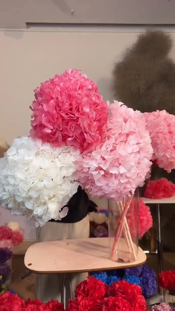 109  永生大叶绣球3枝大单枝——深粉1/浅粉1/白1