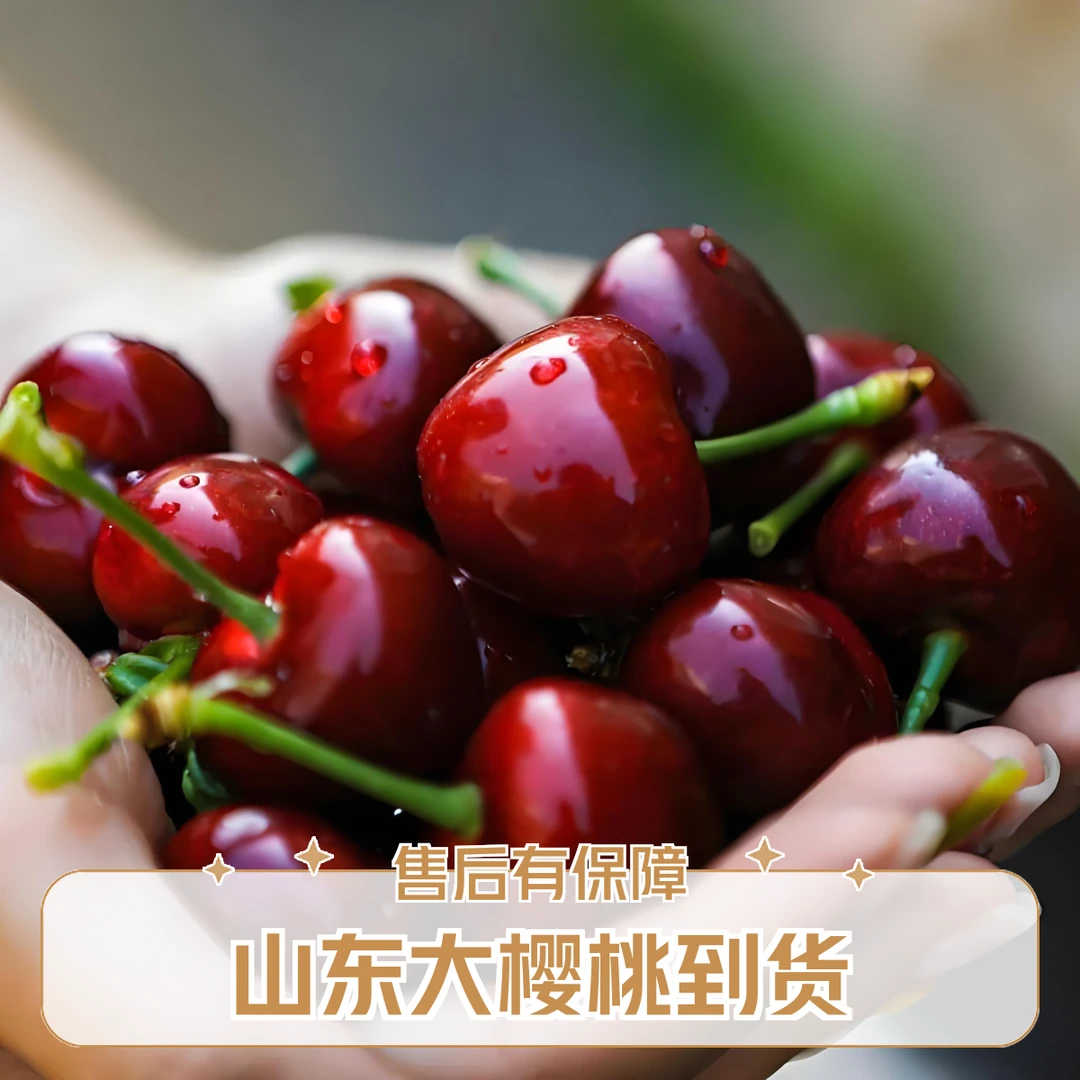 美早大樱桃（2J）250g黑珍珠山东省