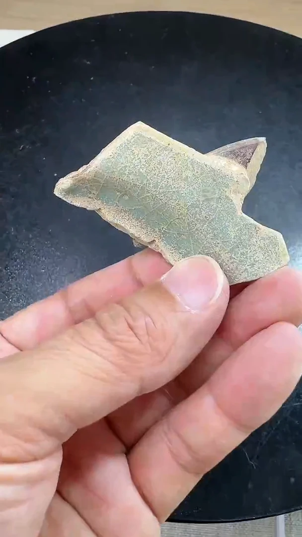 瓷片龙泉青瓷灰胎瓷片学习标本