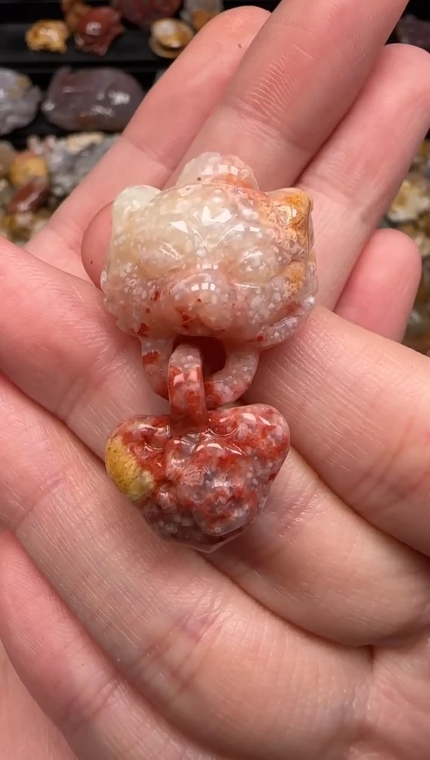 硅化珊瑚（珊瑚玉）未镶嵌颈饰751