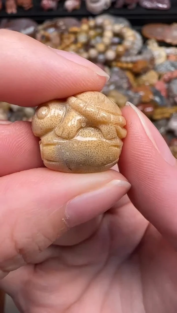 硅化珊瑚（珊瑚玉）未镶嵌颈饰030