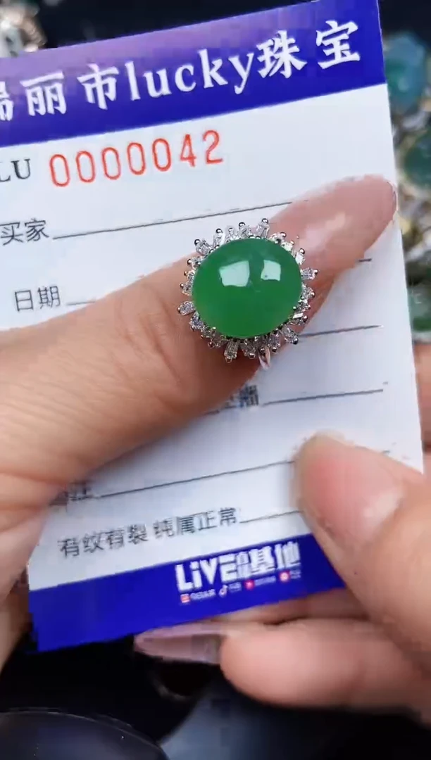 翡翠银S925镶嵌颈饰0042