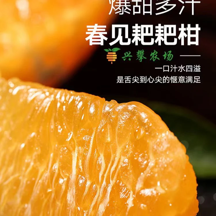 新鲜水果手剥耙耙柑香甜多汁现摘现发爽口爆汁