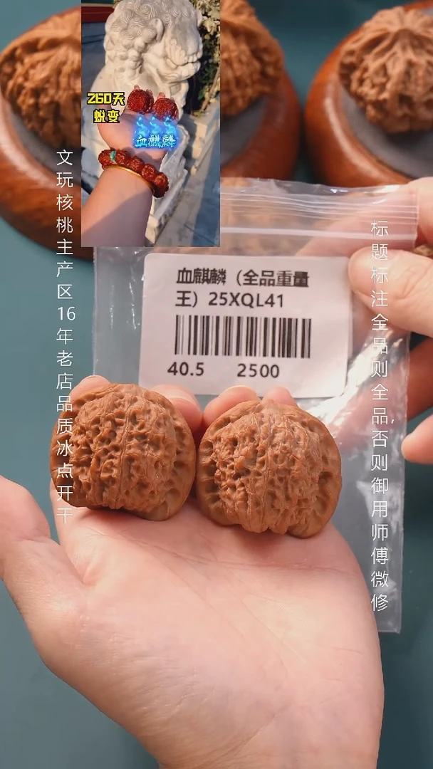 把件文玩核桃40.5血麒麟狮子头全品巨重6号