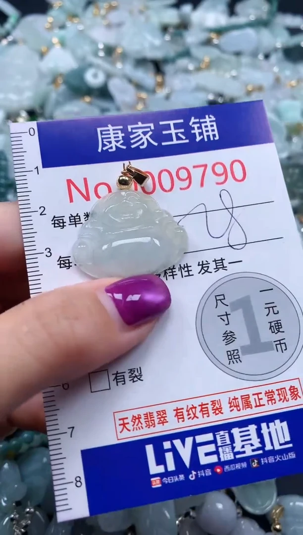 颈饰未镶嵌翡翠9790