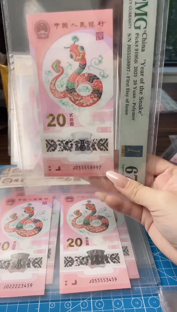 塑料蛇钞pmg055558997