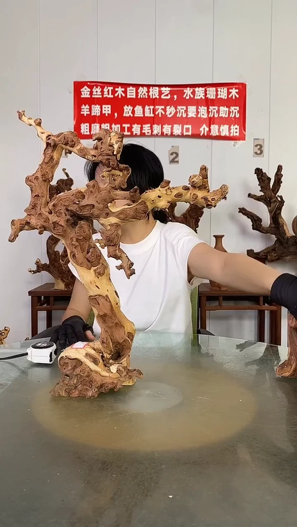 香榧木命**缘金丝红木   羊蹄甲