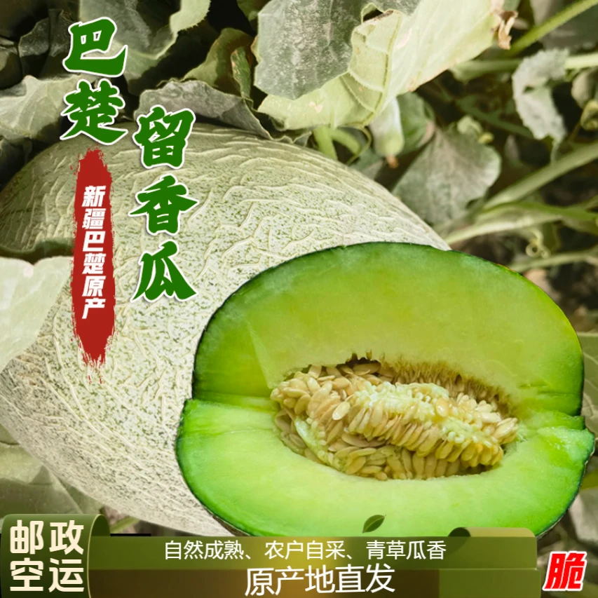 新疆巴楚留香瓜绿瓤哈密瓜香甜多汁脆新鲜水果当季现摘