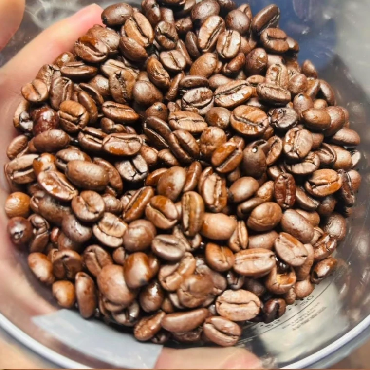 云南普洱精品卡蒂姆水洗咖啡豆-欧洲畅销-1斤起售云南咖啡豆