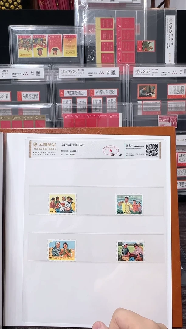 文17 封装评级鉴定收藏