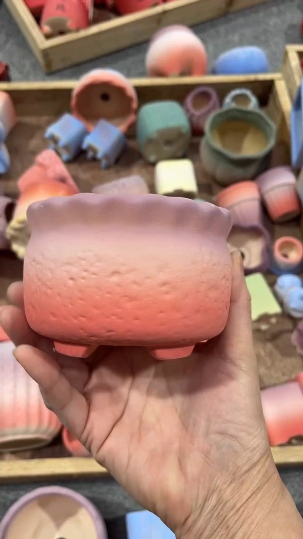 【闪购商品】陶内口 9  内高6