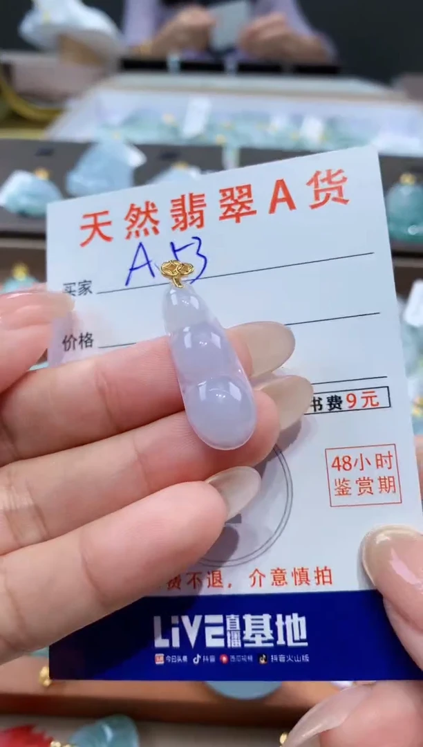 颈饰未镶嵌翡翠天然缅甸翡翠A货挂件