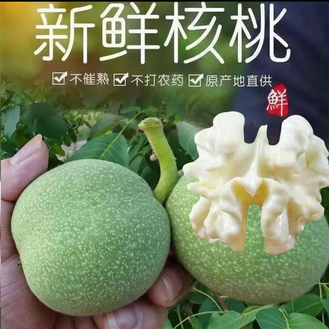 新疆阿克苏185青皮核桃原产地直发