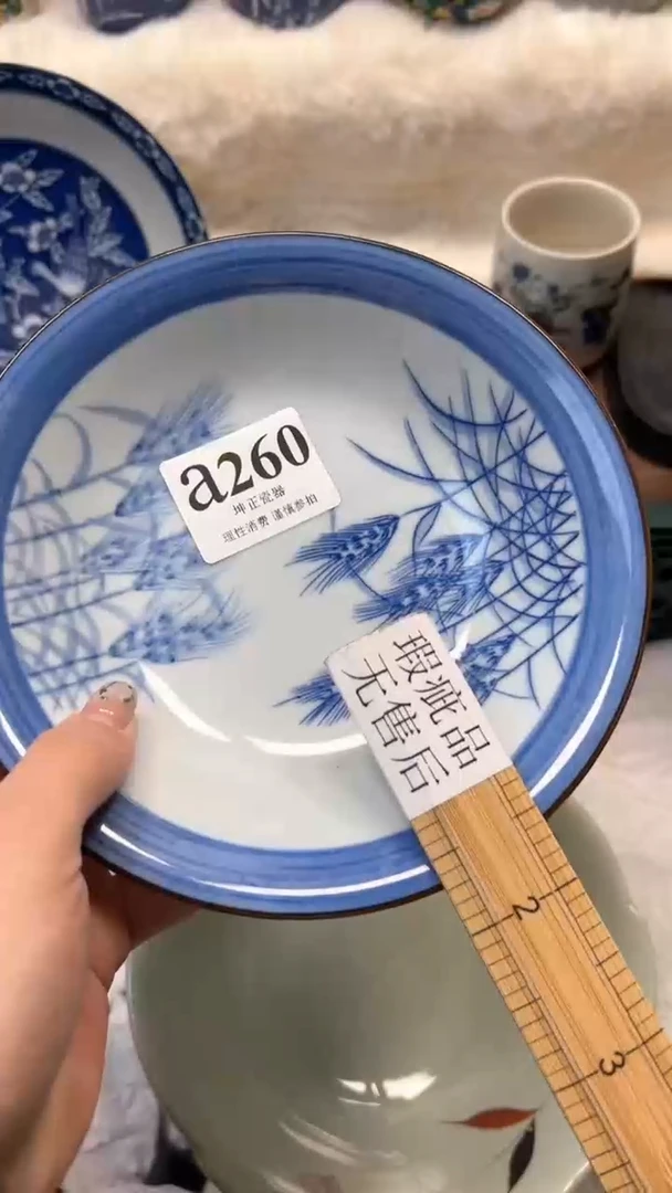 【闪购商品】瓷片          a260