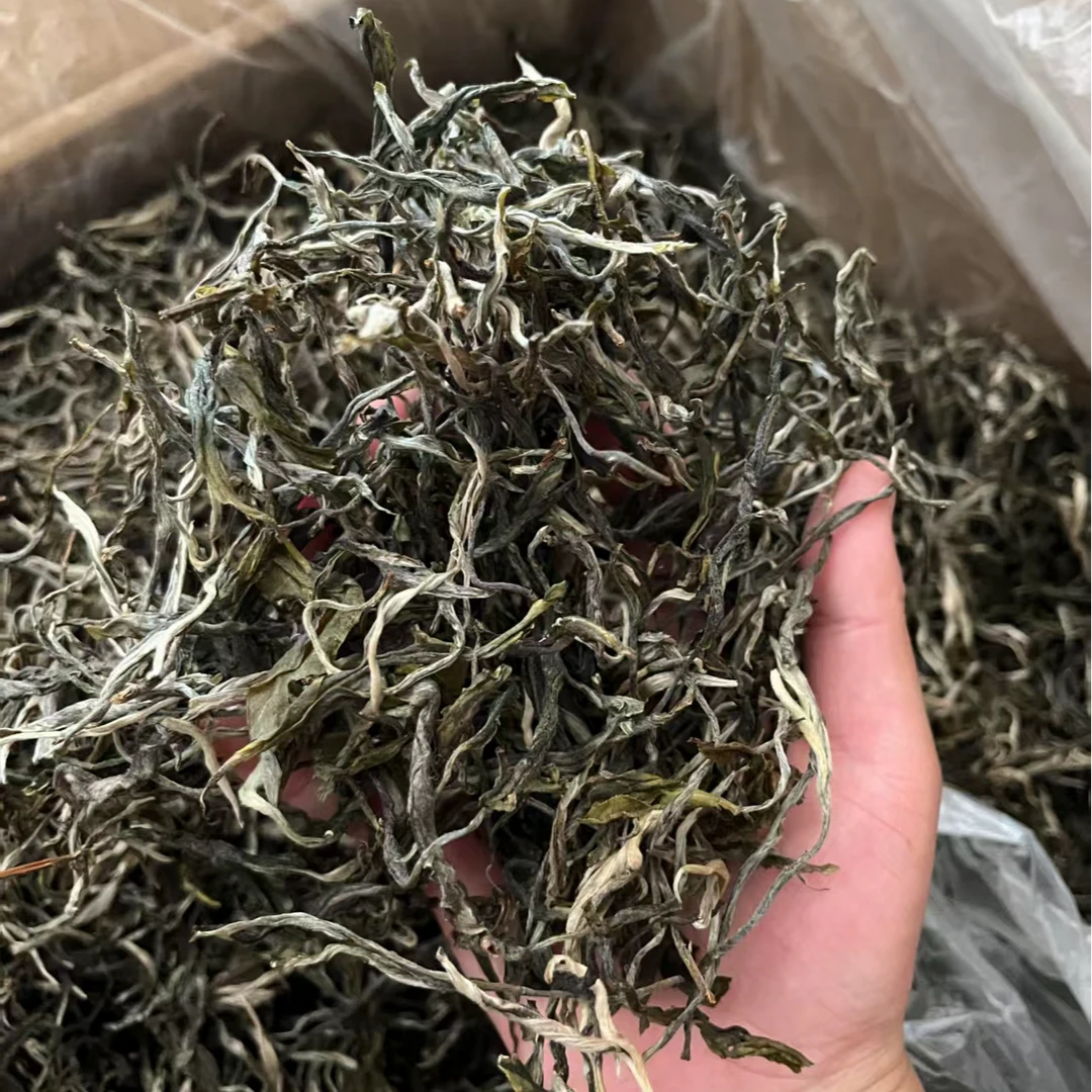 2024年冰岛地界古树普洱茶生茶散茶