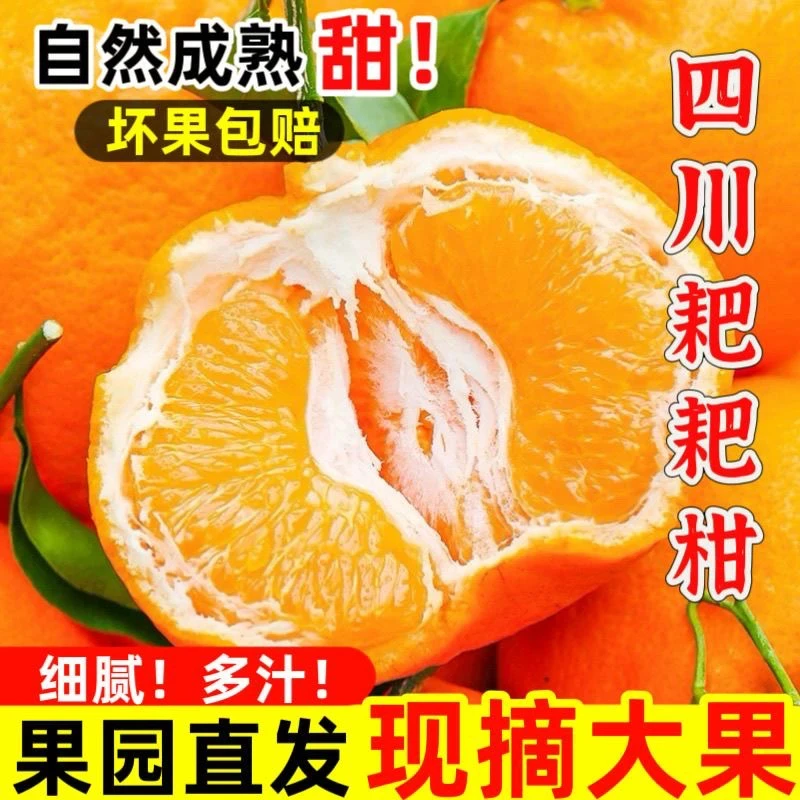 正宗高山5斤装应季新鲜水果橘子丑橘子整箱包邮老果树嫁接