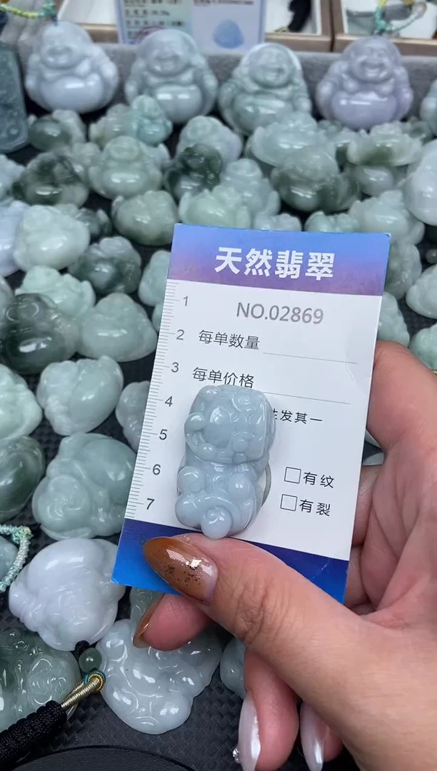 颈饰未镶嵌翡翠纯天然A货翡翠2869