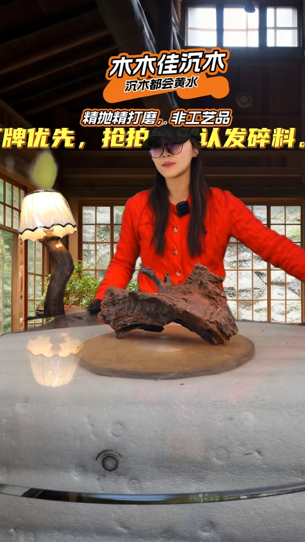 正****…木木佳沉木鱼缸造景-381