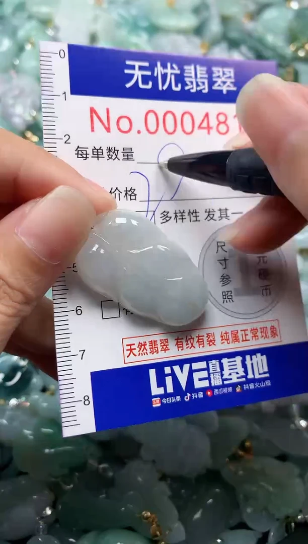 颈饰未镶嵌翡翠4817