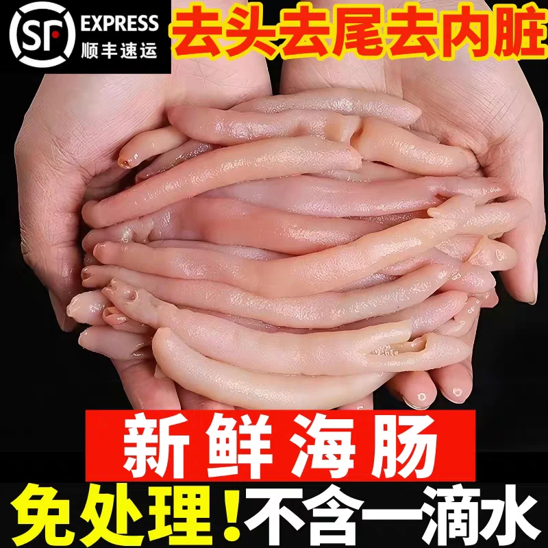 海肠新鲜速冻鲜活沙虫海捕海肠皮200克葱油海肠捞饭海鲜水产商用