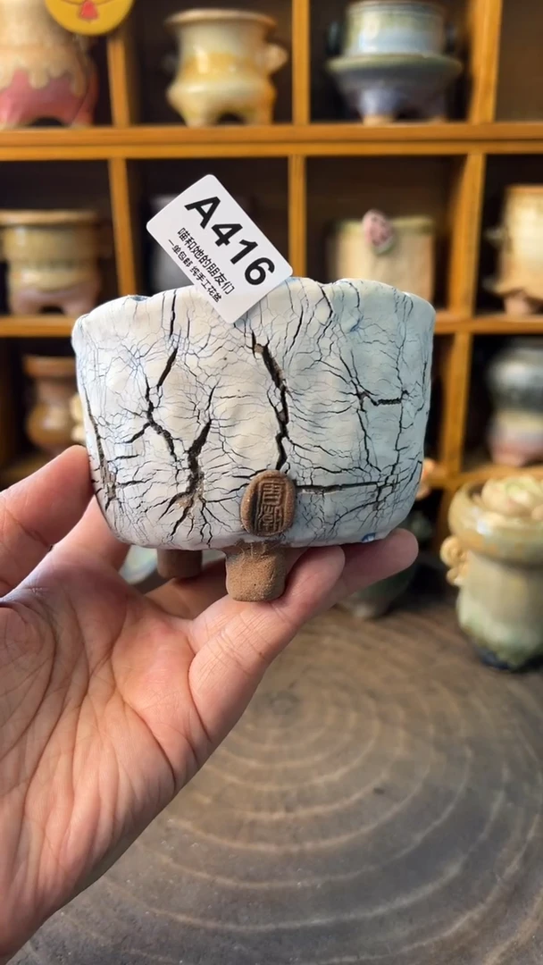 416 内口8【多肉花盆多肉盆】