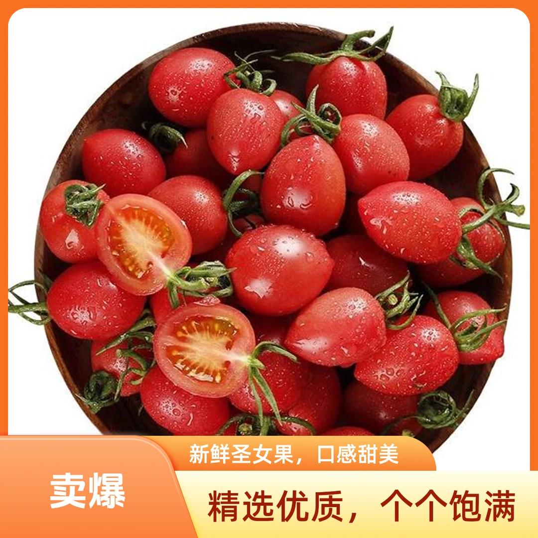 海南千禧小番茄（500g左右）番茄同城配千禧海南省