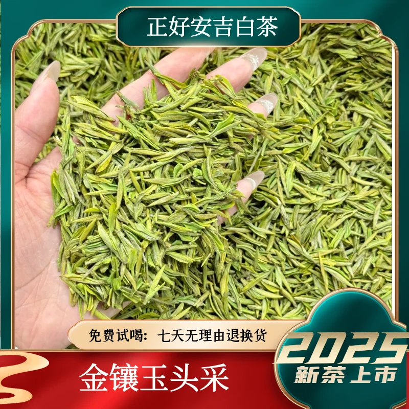 【头采金镶玉】2025年新茶金镶玉溪龙核心产区春茶新鲜春季