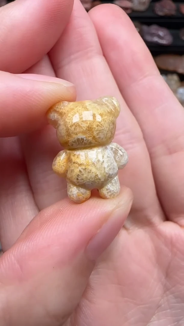 颈饰未镶嵌硅化珊瑚（珊瑚玉）305