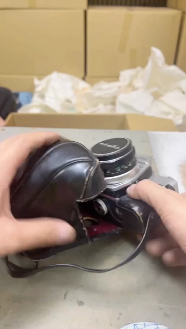 瓷片494聚宝缘海陶精选