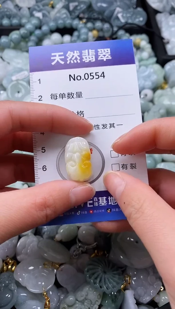 【闪购商品】翡翠颈饰未镶嵌缅甸A货翡翠0554