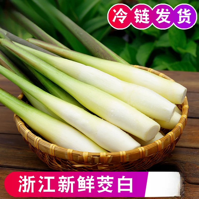 2024年新鲜茭白现摘农家高山茭白时令蔬菜当季浙江高笋茭儿茭瓜