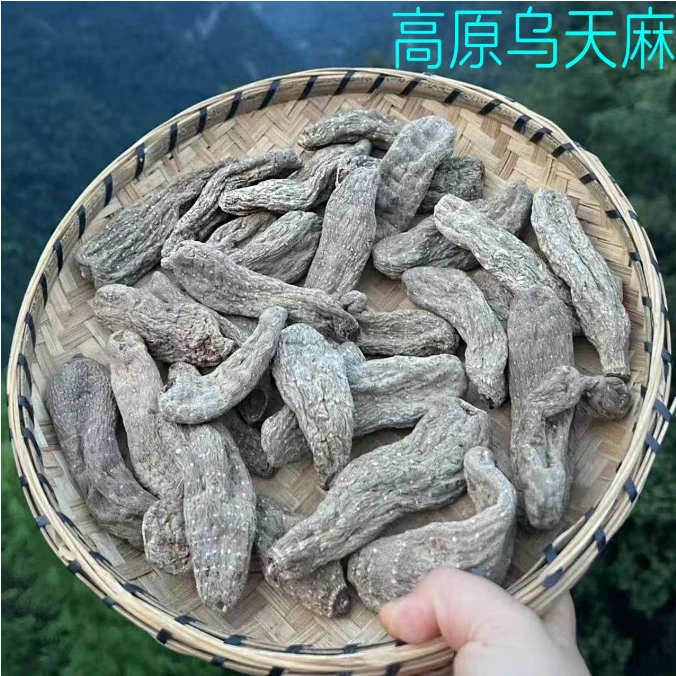 贵州深山采挖自然晒干乌天麻可切片磨粉煲汤