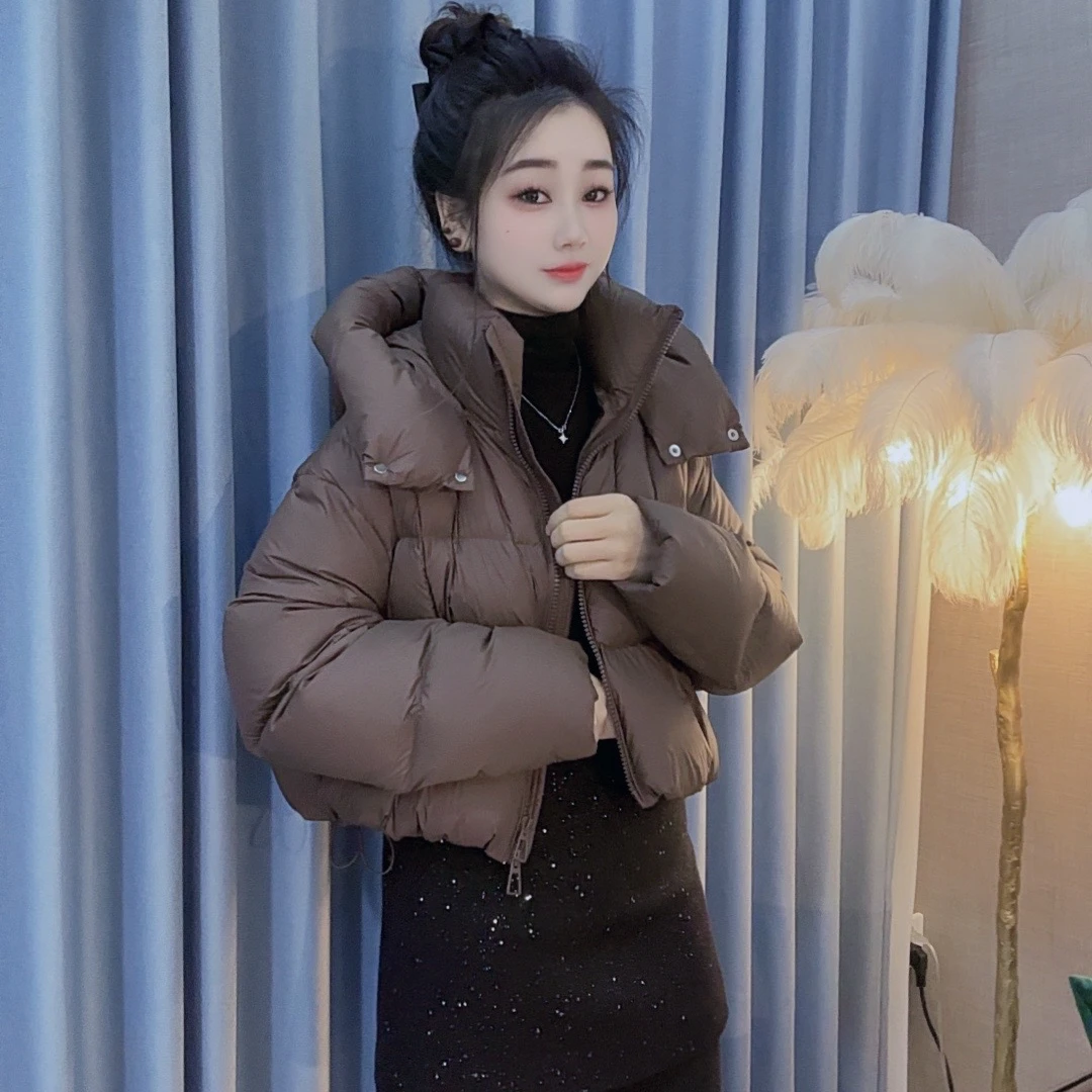 丹丹精选--168130新款立领连帽拉链短款面包服羽绒服