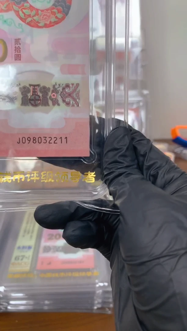 塑料 2025蛇钞 真钞 评级封装