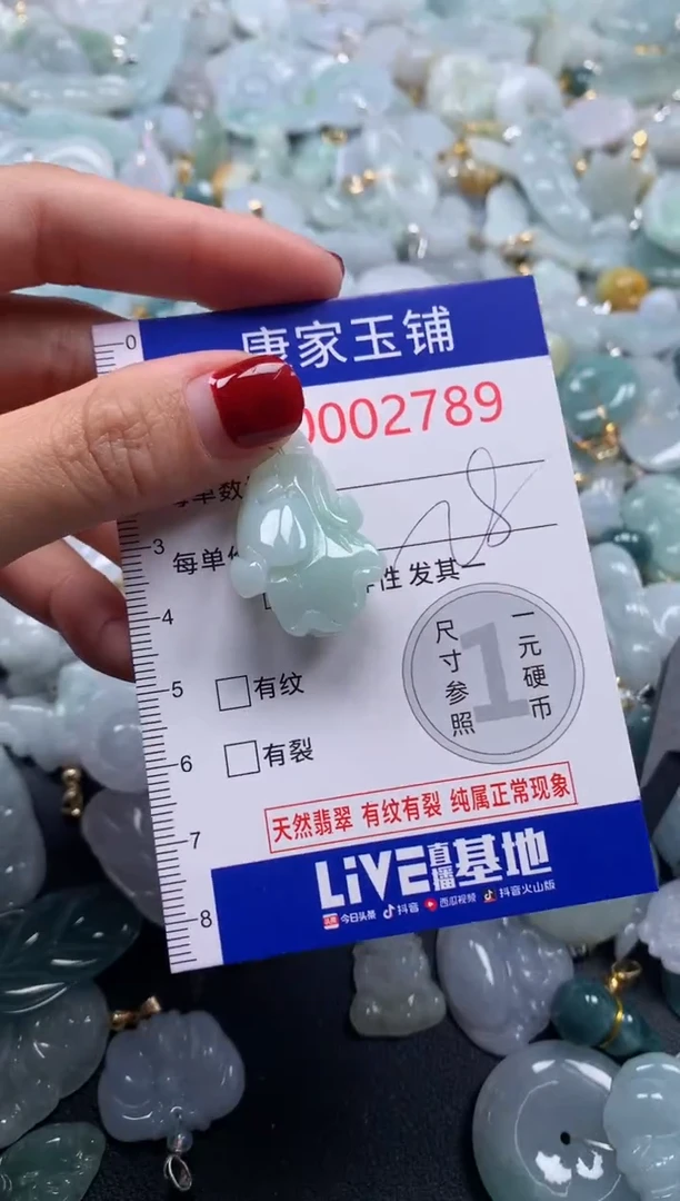 颈饰未镶嵌翡翠2789