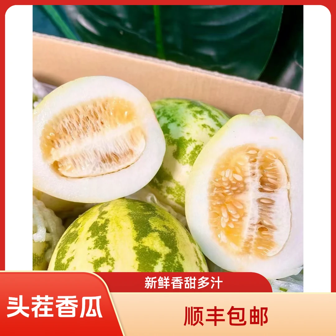 东北陆地头茬花姑娘香瓜