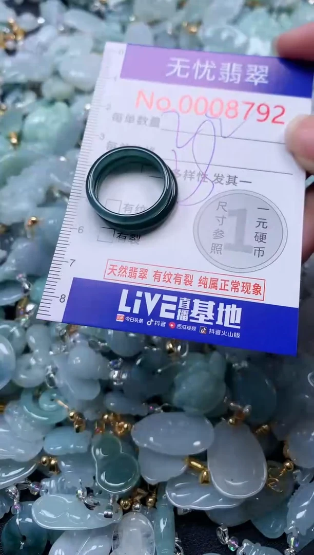 颈饰未镶嵌翡翠8792