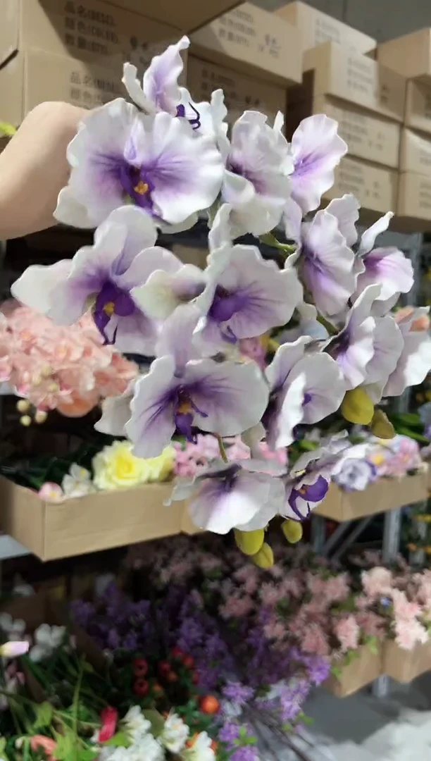 2枝紫色蝴蝶兰