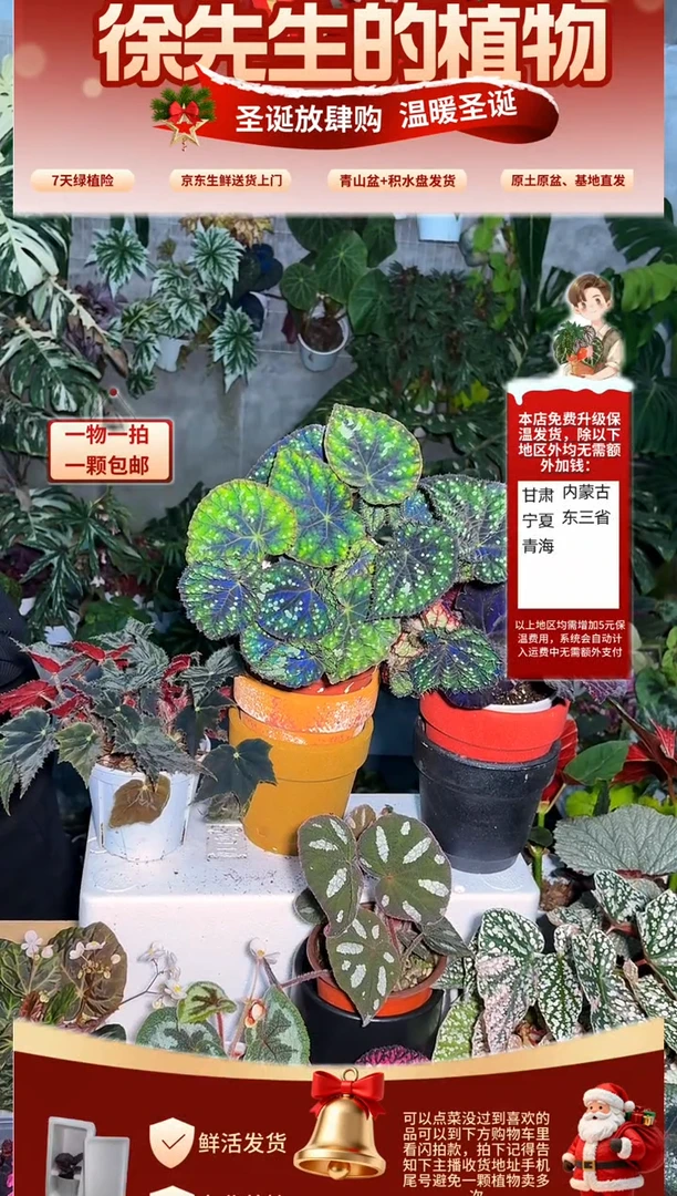 完全开放哈*…6339珠子