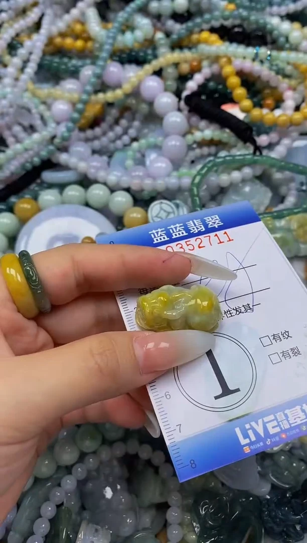 颈饰未镶嵌翡翠闪购0352711