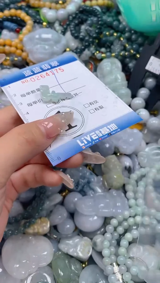 翡翠未镶嵌颈饰闪购0264175