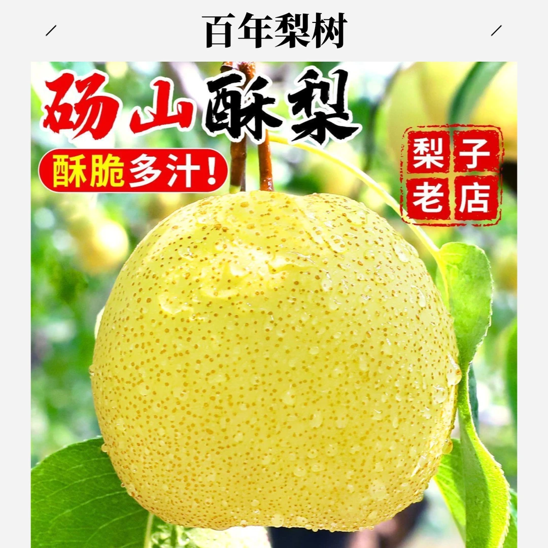 【送人送礼必备】正宗砀山酥梨脆甜多汁更佳纯甜新鲜水果梨子砀山梨